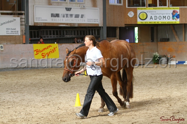 24-ApHC HIH_078.jpg